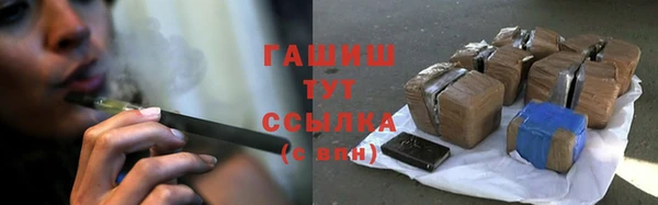 индика Верхний Тагил